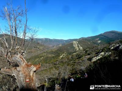 Pico Somosierra, Gran Recorrido GR88; viajes enero; excursiones de un día desde madrid;senderismo p